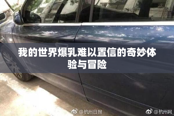 我的世界爆乳难以置信的奇妙体验与冒险