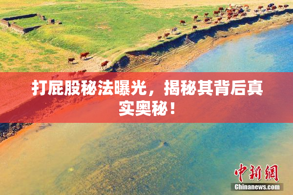 打屁股秘法曝光，揭秘其背后真实奥秘！