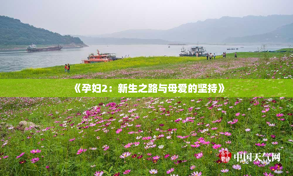 《孕妇2：新生之路与母爱的坚持》