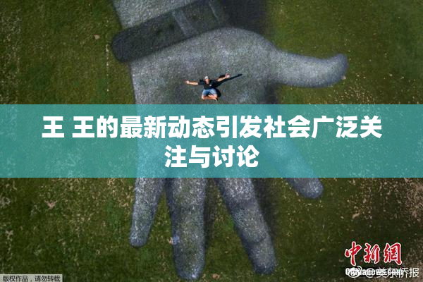 王 王的最新动态引发社会广泛关注与讨论
