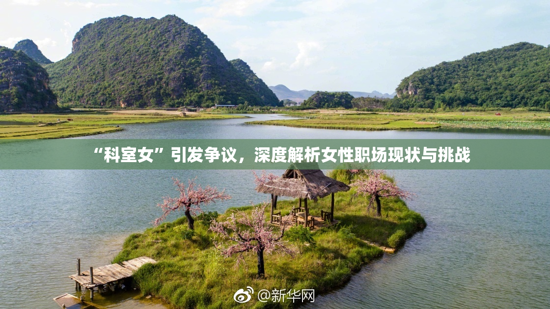 “科室女”引发争议，深度解析女性职场现状与挑战