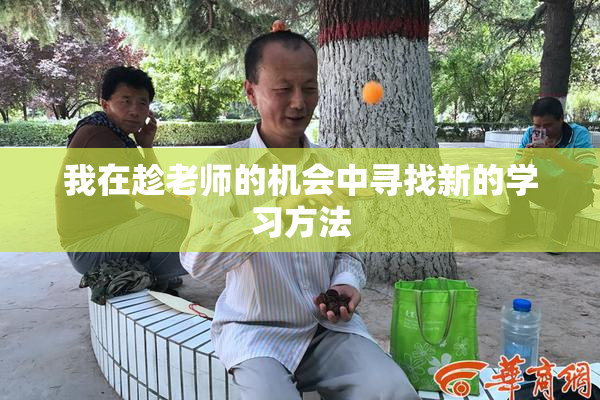 我在趁老师的机会中寻找新的学习方法