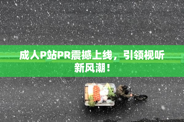 成人P站PR震撼上线，引领视听新风潮！