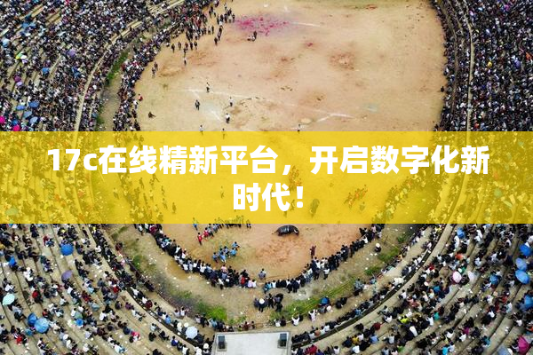 17c在线精新平台，开启数字化新时代！