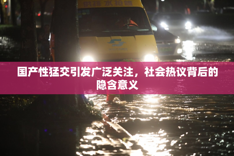 国产性猛交引发广泛关注，社会热议背后的隐含意义