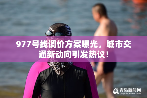 977号线调价方案曝光，城市交通新动向引发热议！