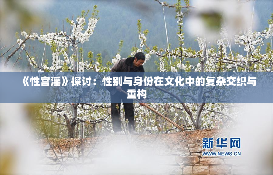 《性宫淫》探讨：性别与身份在文化中的复杂交织与重构