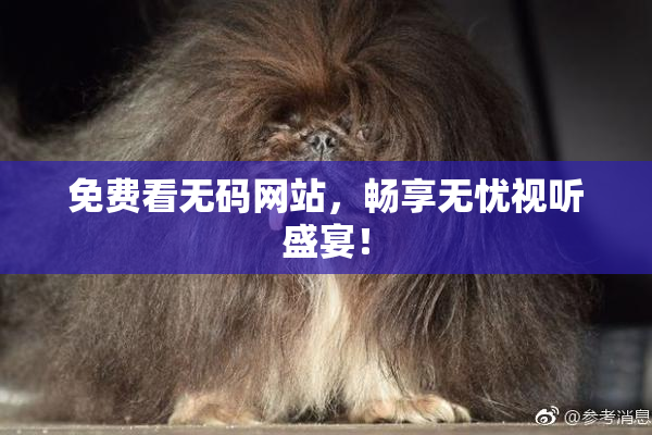 免费看无码网站，畅享无忧视听盛宴！