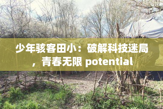 少年骇客田小：破解科技迷局，青春无限 potential