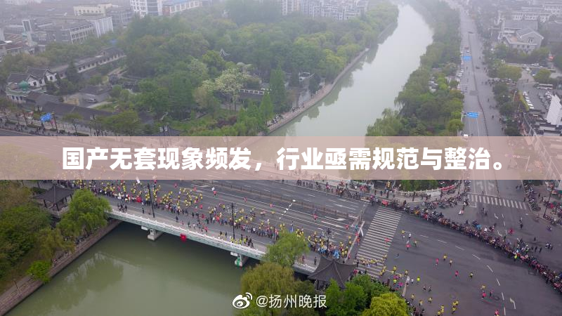 国产无套现象频发，行业亟需规范与整治。