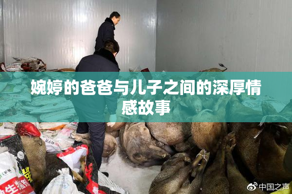 婉婷的爸爸与儿子之间的深厚情感故事