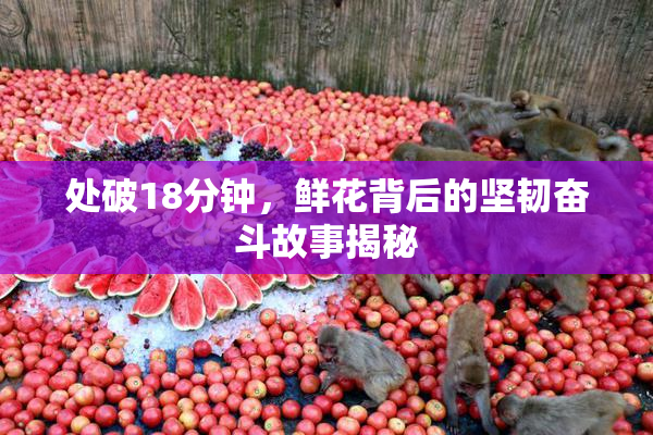 处破18分钟，鲜花背后的坚韧奋斗故事揭秘
