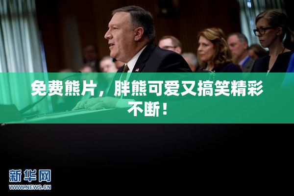 免费熊片，胖熊可爱又搞笑精彩不断！