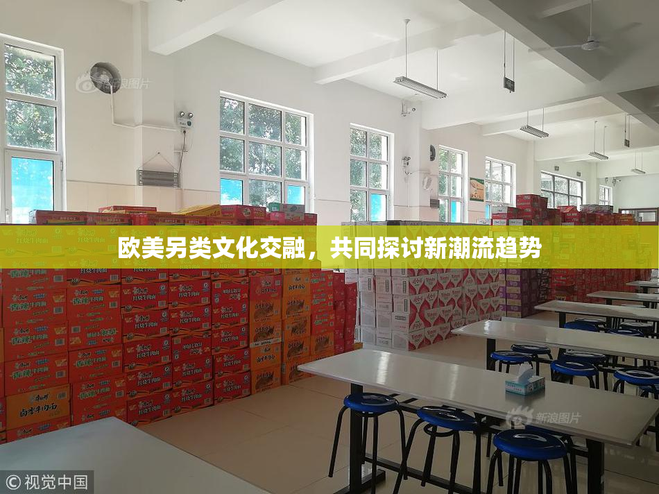 欧美另类文化交融，共同探讨新潮流趋势