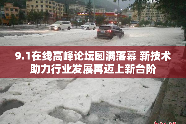 9.1在线高峰论坛圆满落幕 新技术助力行业发展再迈上新台阶