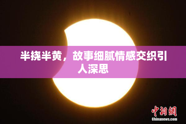 半挠半黄，故事细腻情感交织引人深思