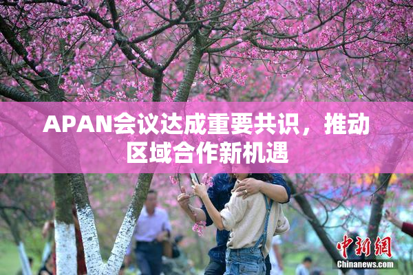 APAN会议达成重要共识，推动区域合作新机遇