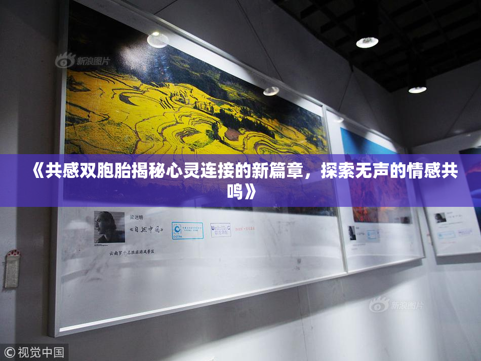 《共感双胞胎揭秘心灵连接的新篇章，探索无声的情感共鸣》
