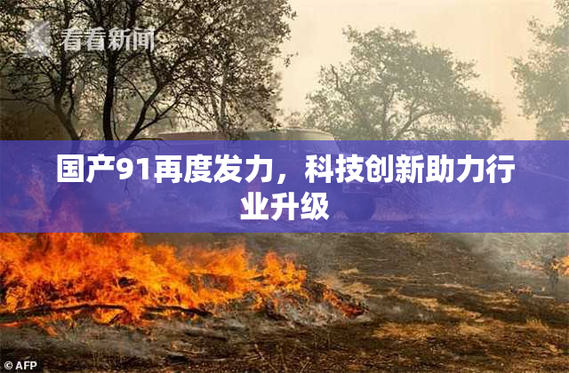国产91再度发力，科技创新助力行业升级