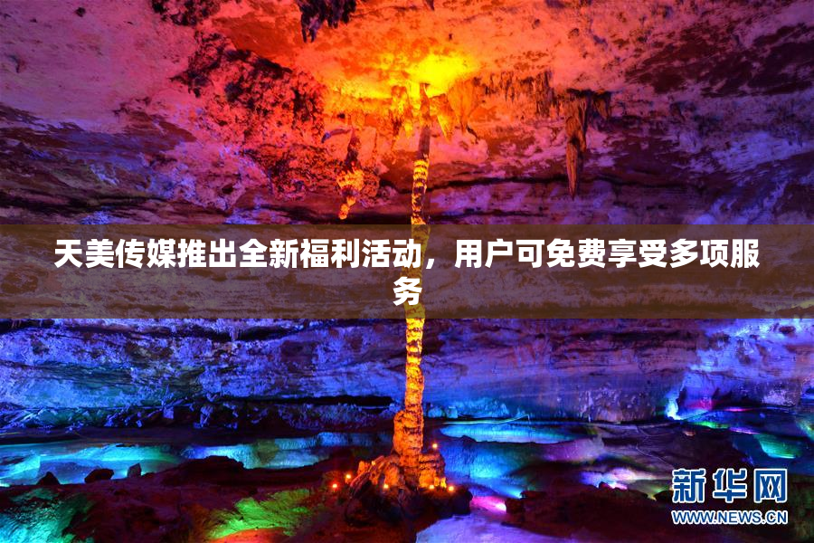 天美传媒推出全新福利活动，用户可免费享受多项服务