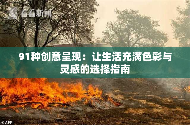 91种创意呈现：让生活充满色彩与灵感的选择指南