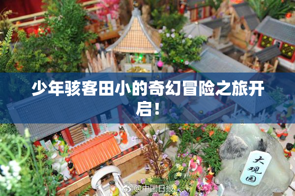 少年骇客田小的奇幻冒险之旅开启！