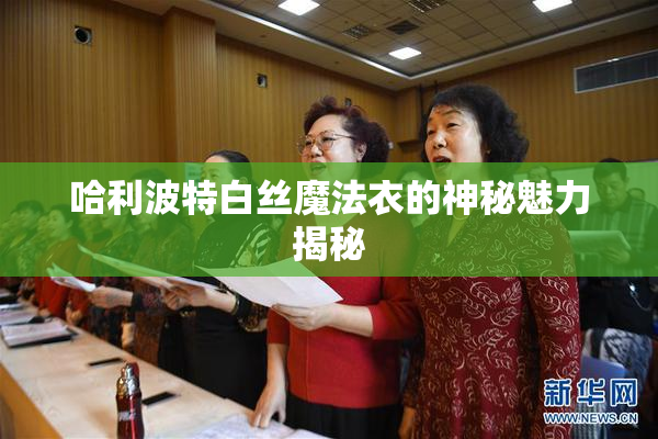 哈利波特白丝魔法衣的神秘魅力揭秘