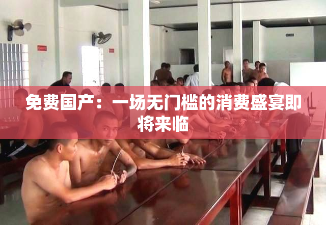 免费国产：一场无门槛的消费盛宴即将来临