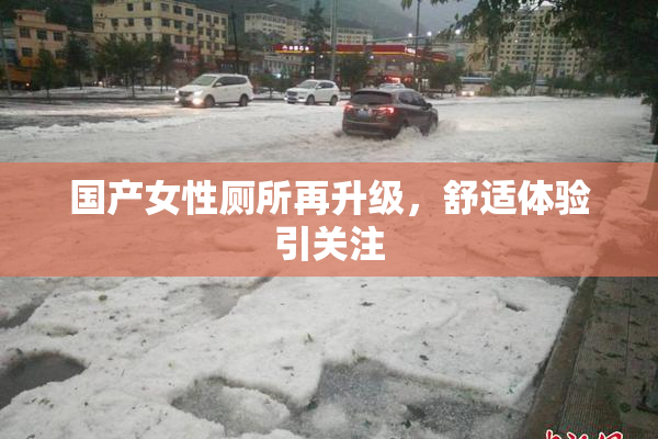国产女性厕所再升级，舒适体验引关注