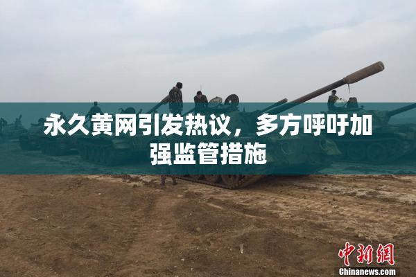 永久黄网引发热议，多方呼吁加强监管措施