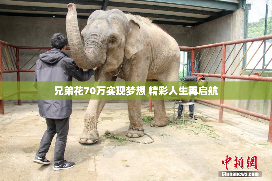 兄弟花70万实现梦想 精彩人生再启航