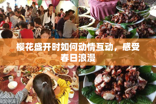 樱花盛开时如何动情互动，感受春日浪漫