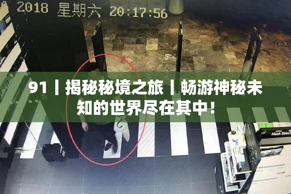 91丨揭秘秘境之旅丨畅游神秘未知的世界尽在其中！