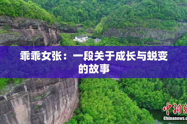 乖乖女张：一段关于成长与蜕变的故事