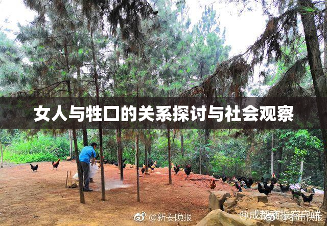 女人与牲囗的关系探讨与社会观察