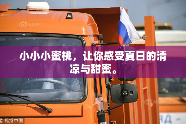 小小小蜜桃，让你感受夏日的清凉与甜蜜。