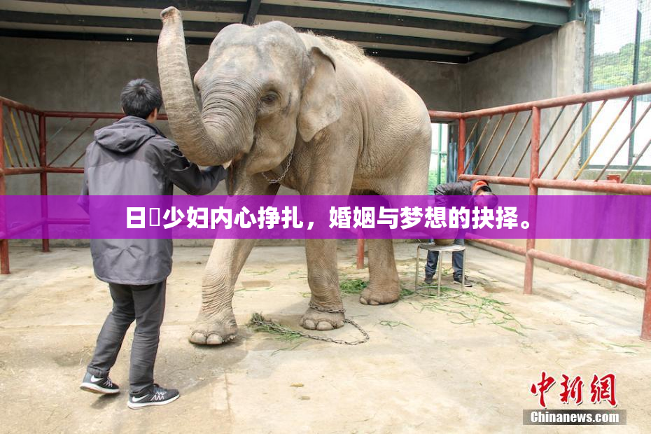 日夲少妇内心挣扎，婚姻与梦想的抉择。