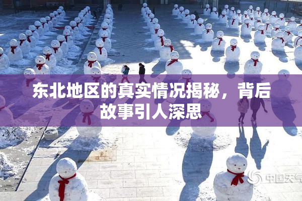 东北地区的真实情况揭秘，背后故事引人深思