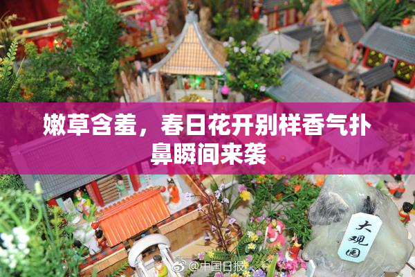 嫩草含羞，春日花开别样香气扑鼻瞬间来袭
