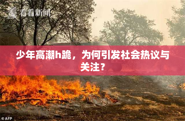 少年高潮h跪，为何引发社会热议与关注？