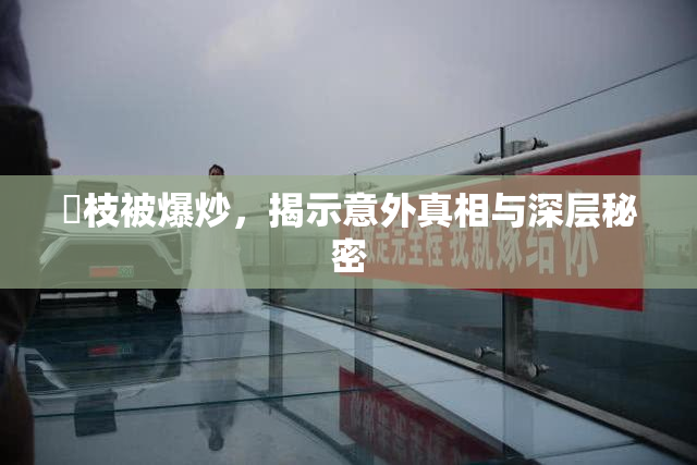 狛枝被爆炒，揭示意外真相与深层秘密