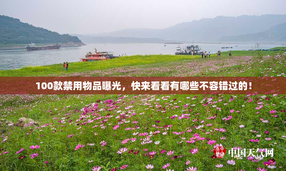 100款禁用物品曝光，快来看看有哪些不容错过的！