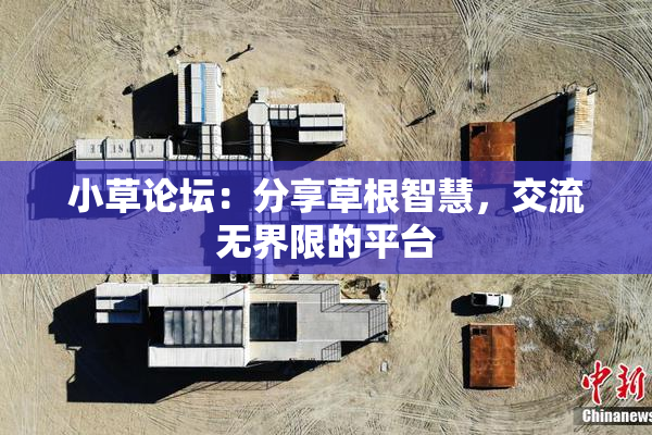 小草论坛：分享草根智慧，交流无界限的平台