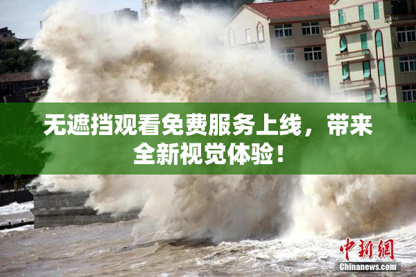 无遮挡观看免费服务上线，带来全新视觉体验！