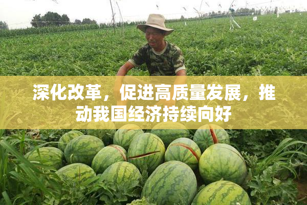 深化改革，促进高质量发展，推动我国经济持续向好