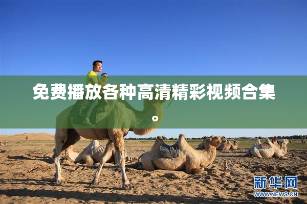 免费播放各种高清精彩视频合集。