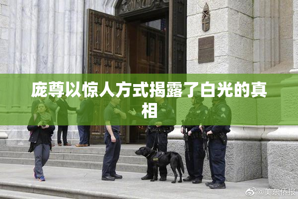 庞尊以惊人方式揭露了白光的真相