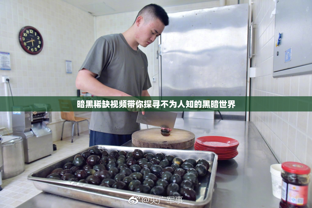 暗黑稀缺视频带你探寻不为人知的黑暗世界