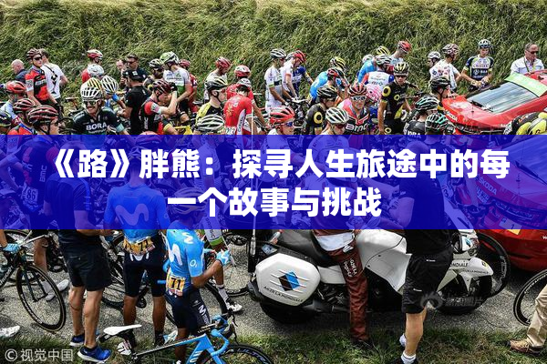 《路》胖熊：探寻人生旅途中的每一个故事与挑战