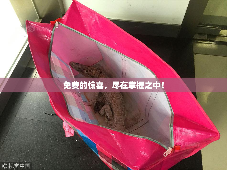 免费的惊喜，尽在掌握之中！